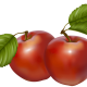 skelbimas-obuoliai